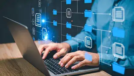 IT sector
